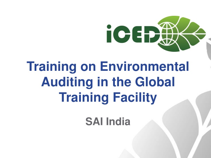 training on environmental auditing in the global
