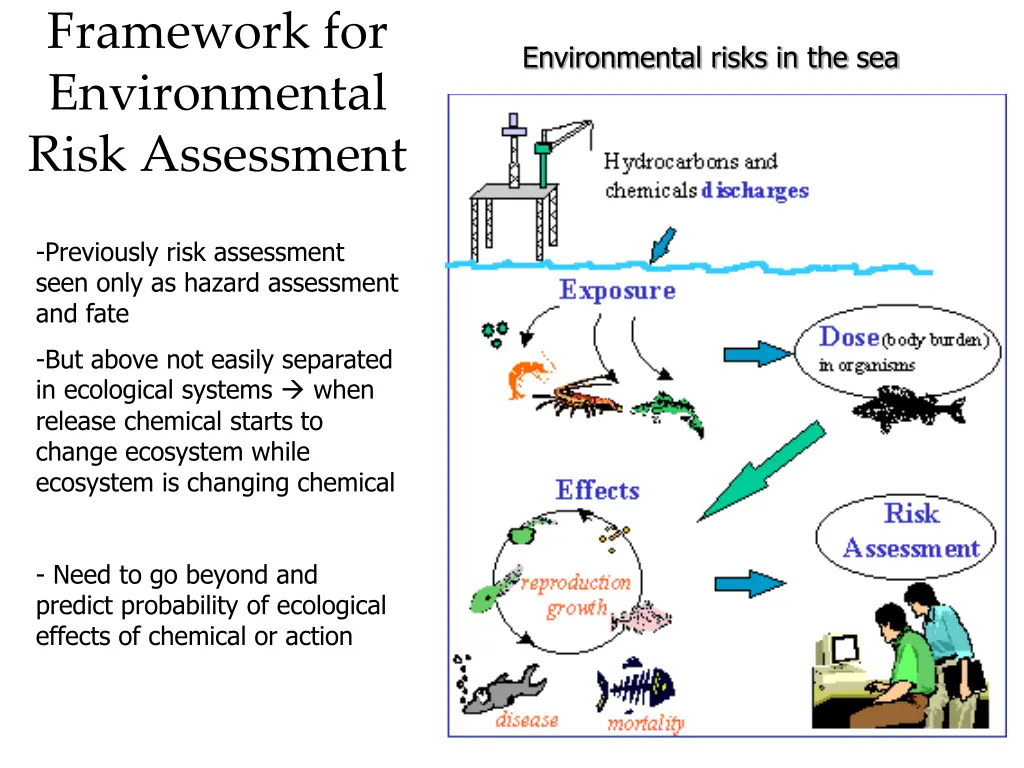 framework for environmental risk assessment