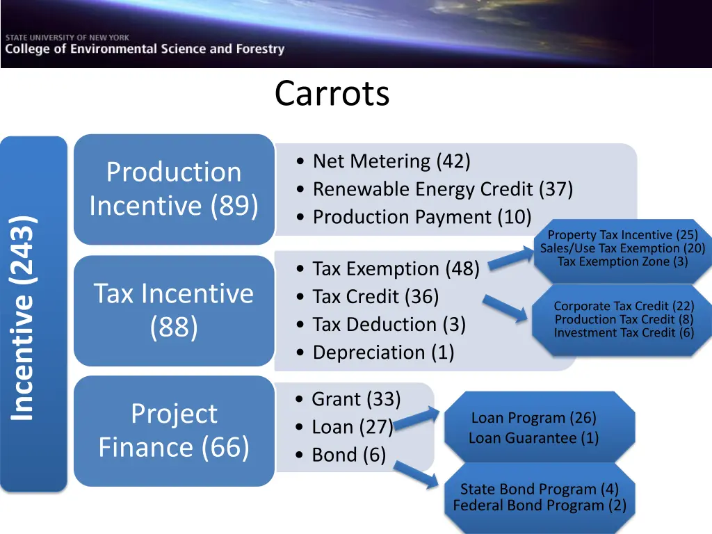 carrots