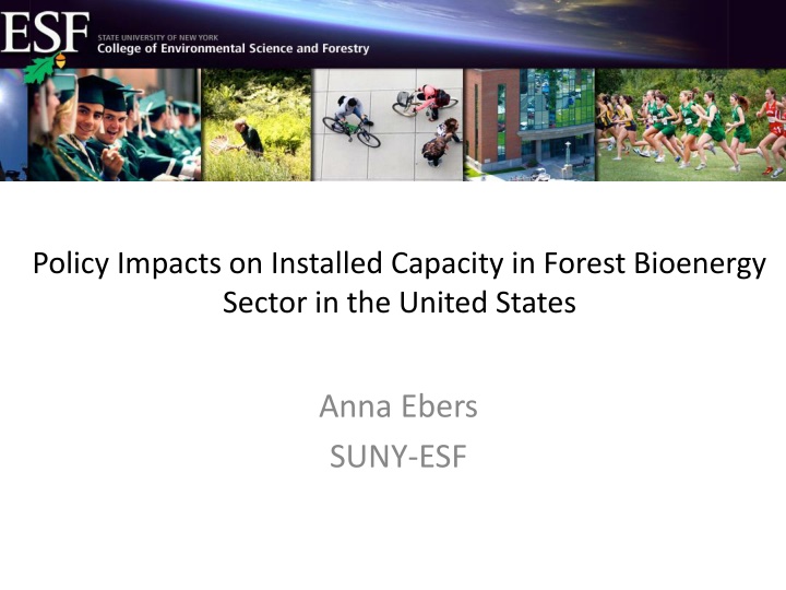 policy impacts on installed capacity in forest