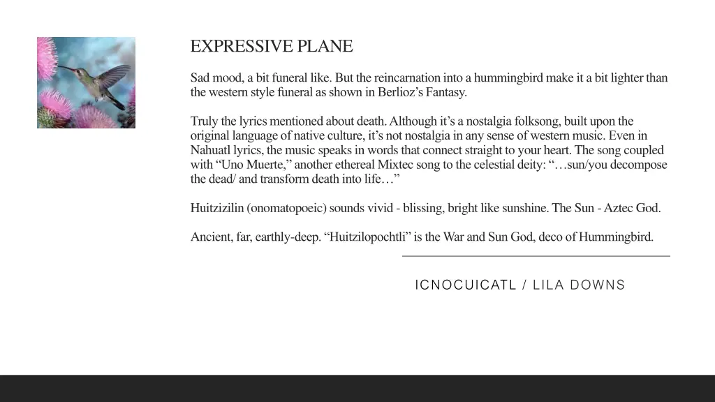 expressive plane