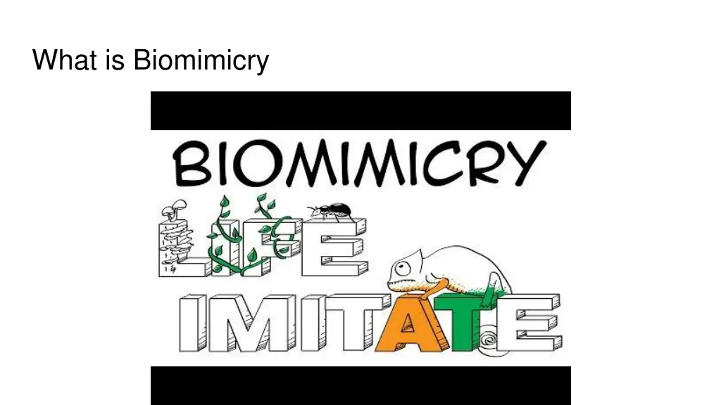 what is biomimicry