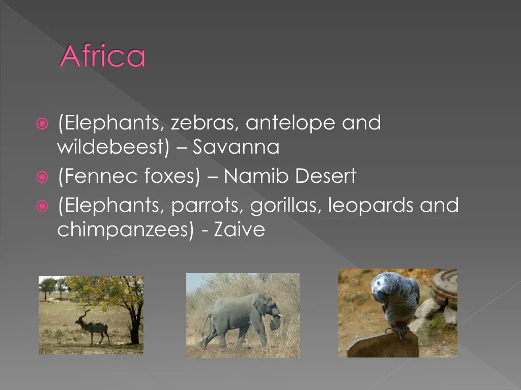 africa