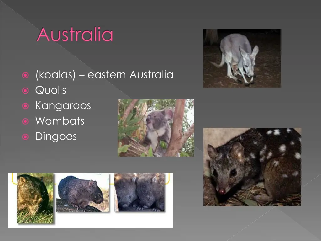 australia
