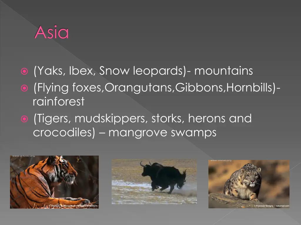 slide2