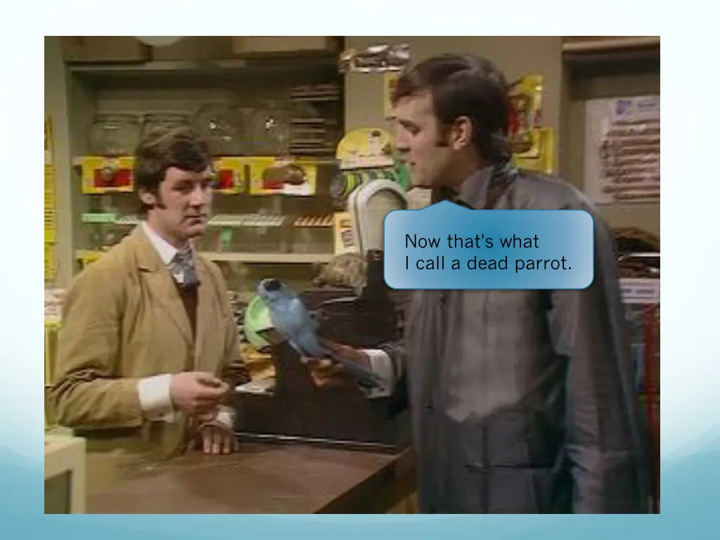 now that s what i call a dead parrot