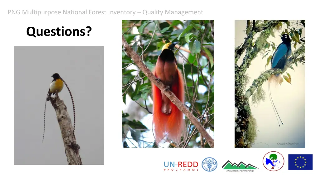 png multipurpose national forest inventory 14