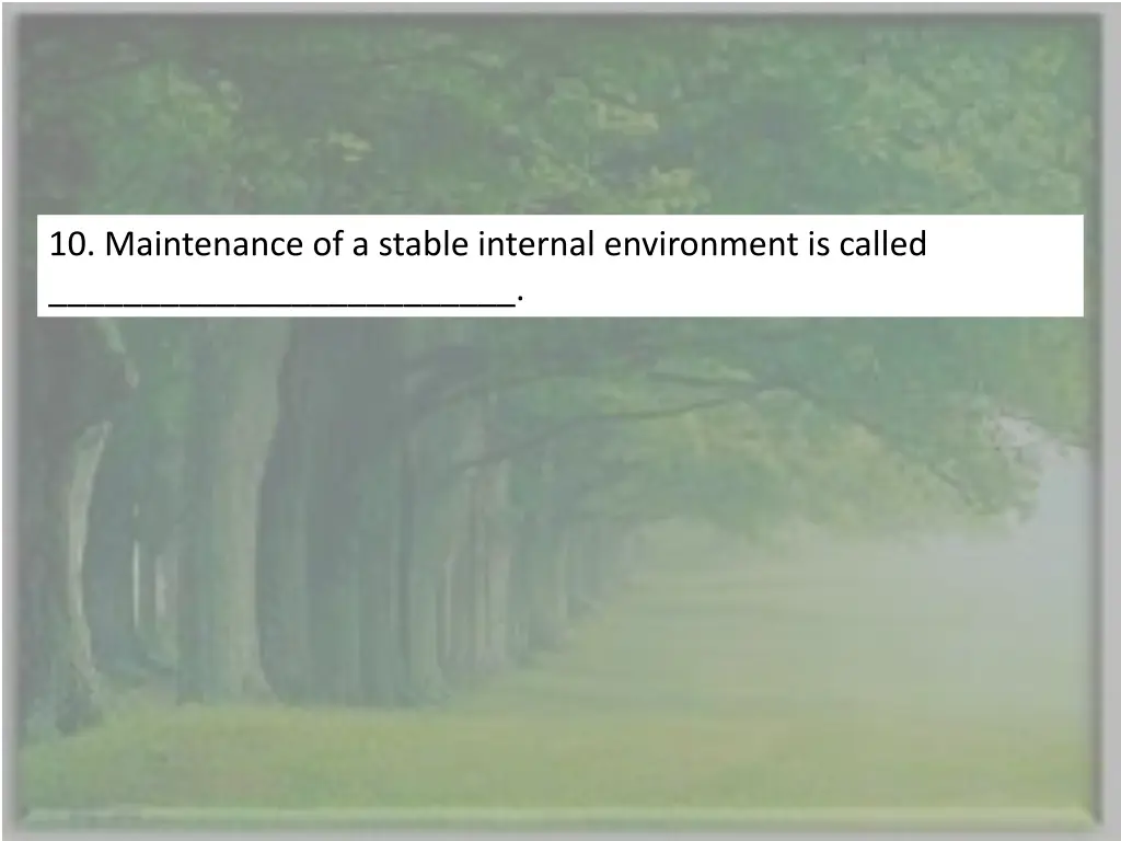 10 maintenance of a stable internal environment