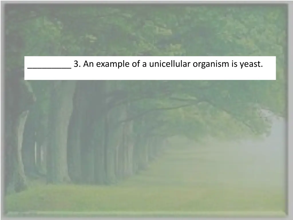 3 an example of a unicellular organism is yeast