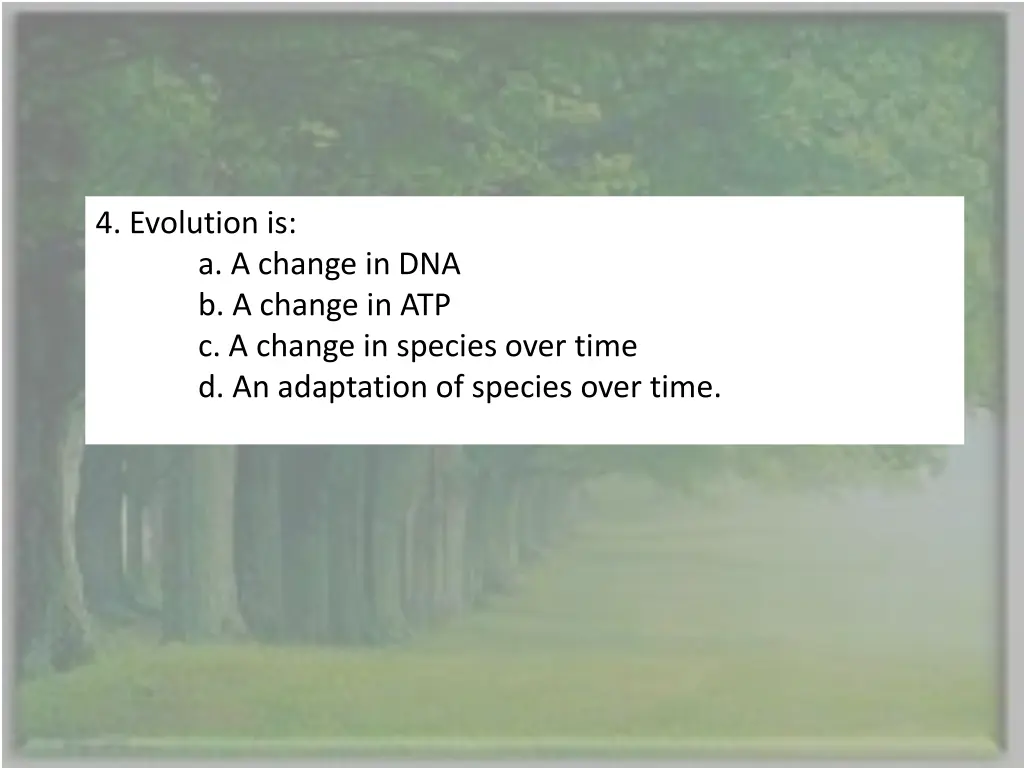 4 evolution is