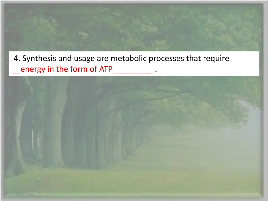 4 synthesis and usage are metabolic processes 1