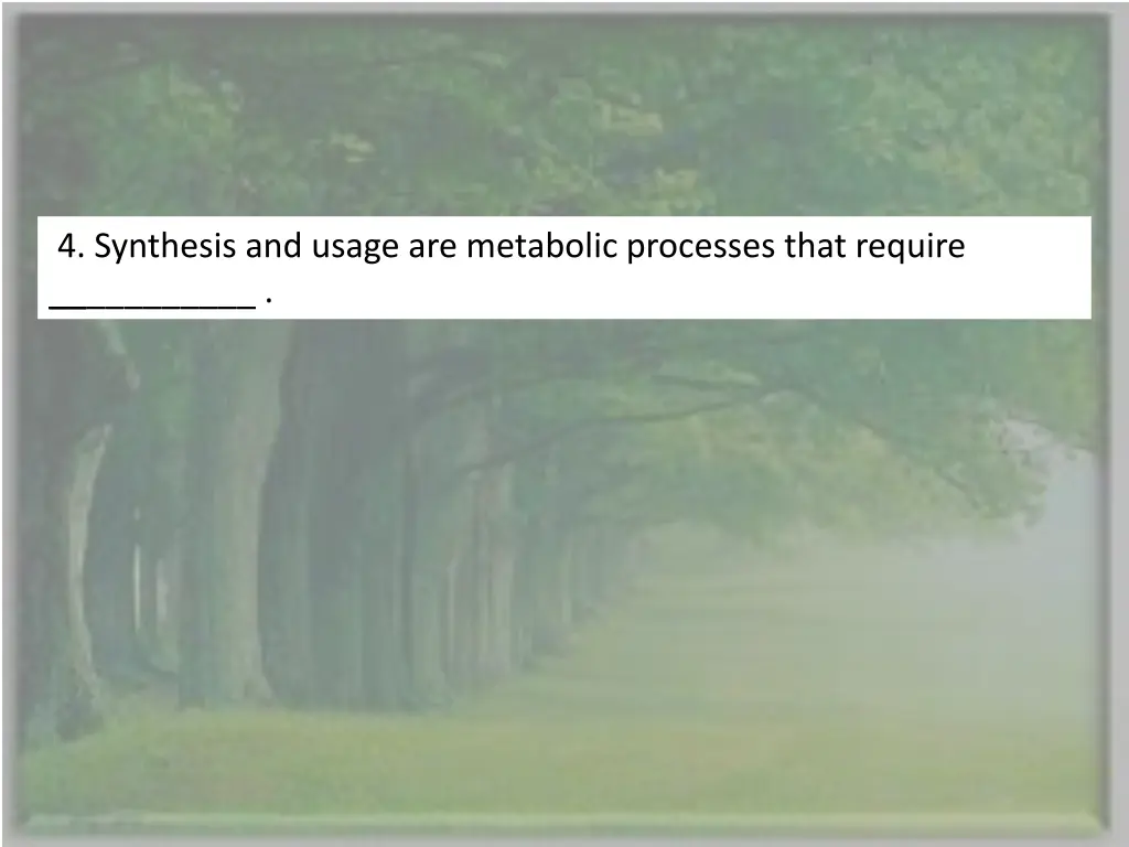 4 synthesis and usage are metabolic processes