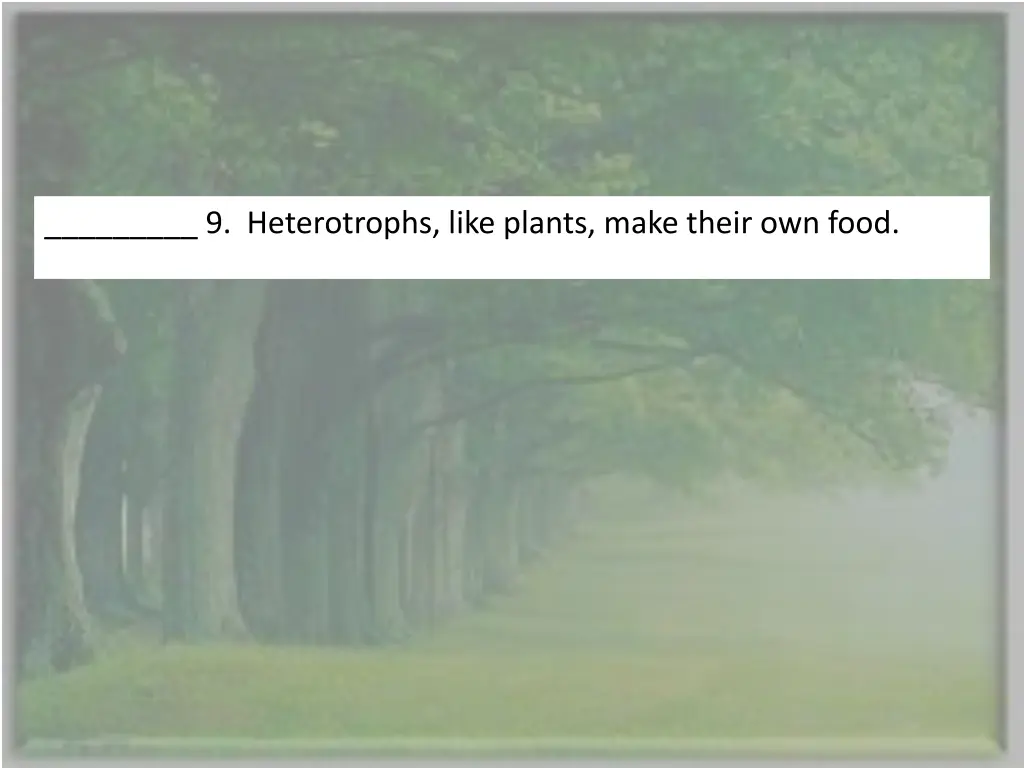 9 heterotrophs like plants make their own food