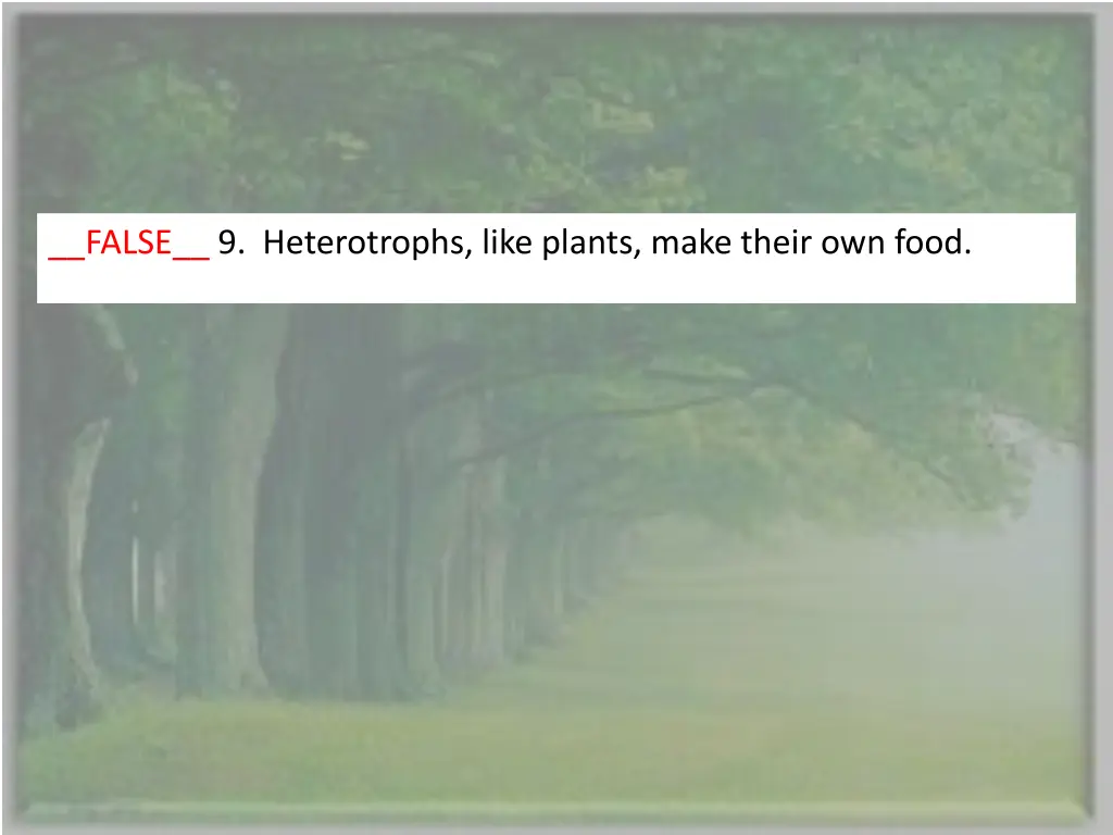 false 9 heterotrophs like plants make their