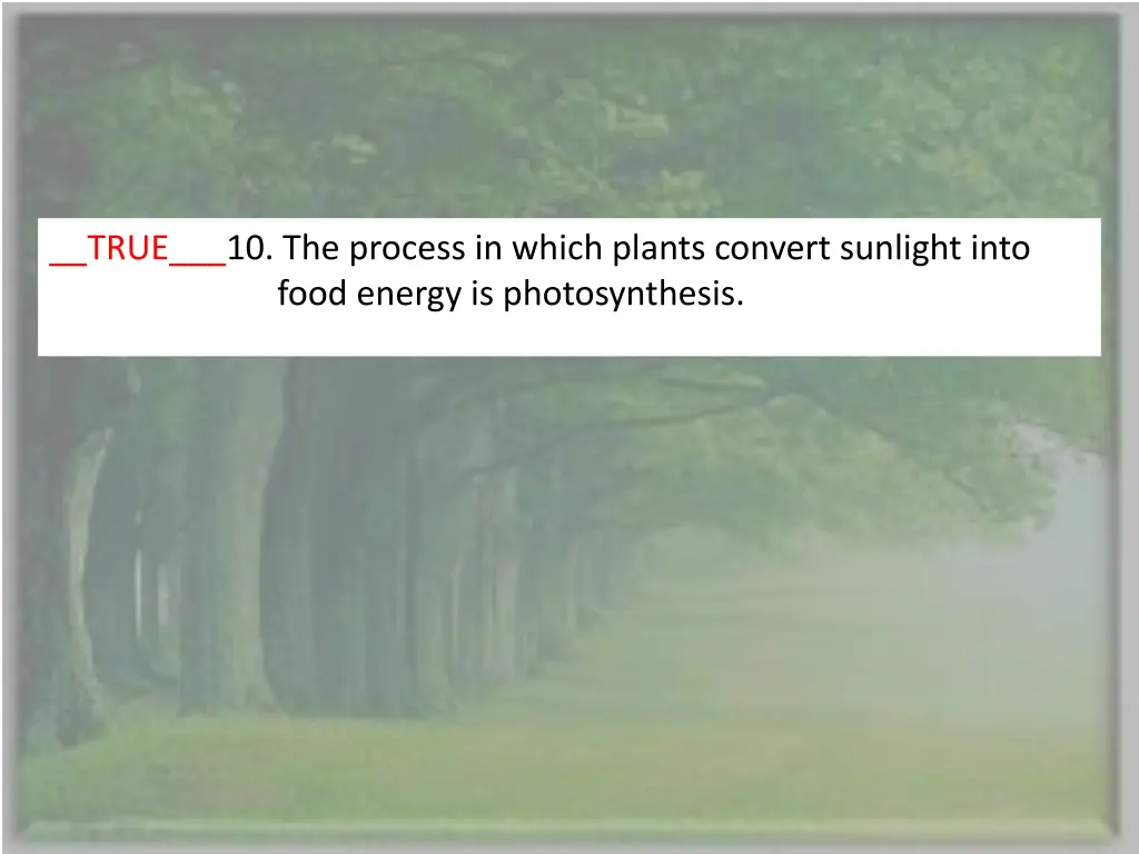 true 10 the process in which plants convert