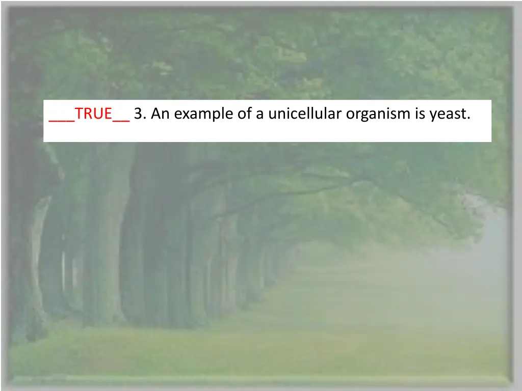 true 3 an example of a unicellular organism