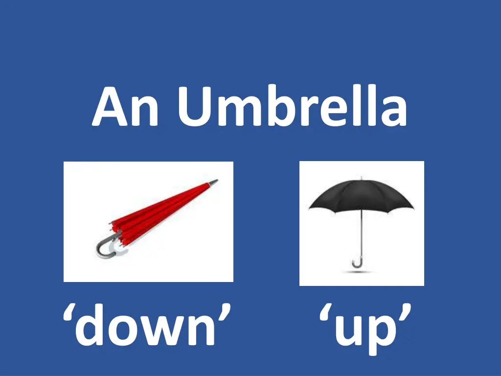 an umbrella