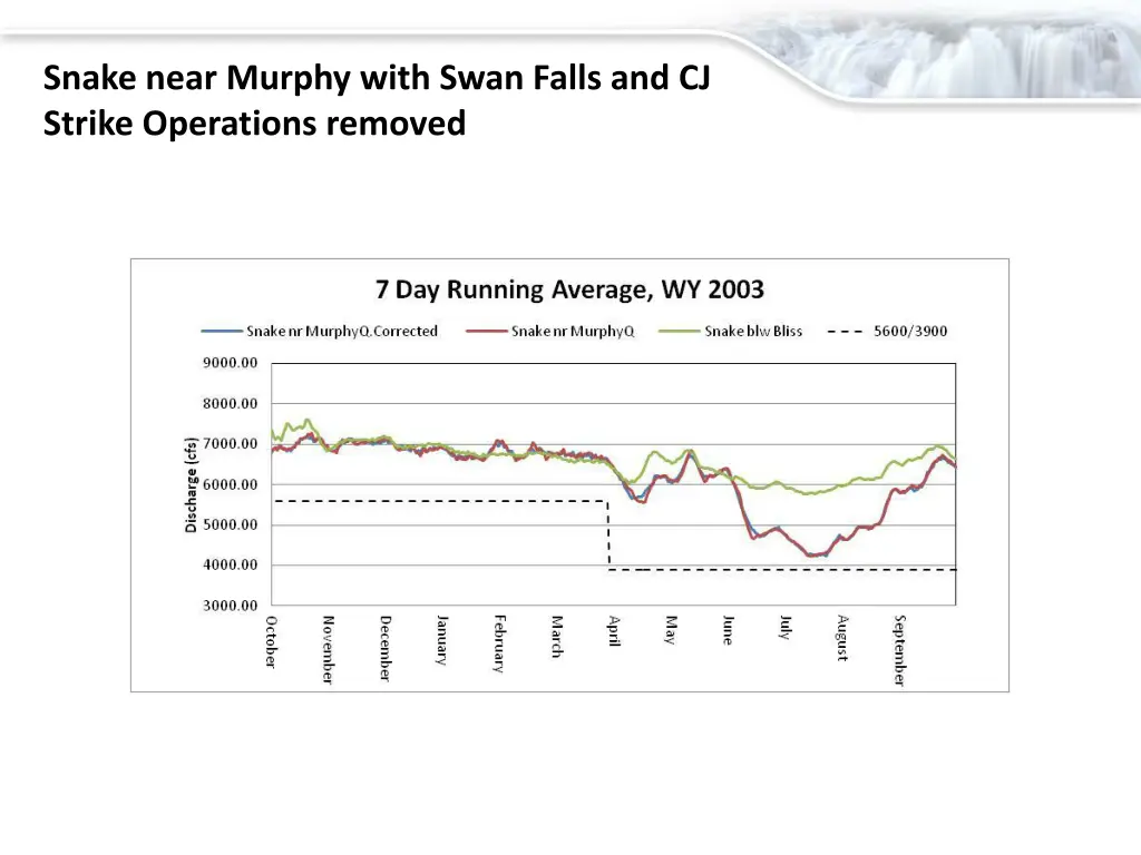 snake near murphy with swan falls and cj strike