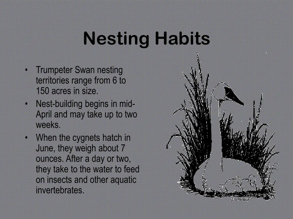 nesting habits