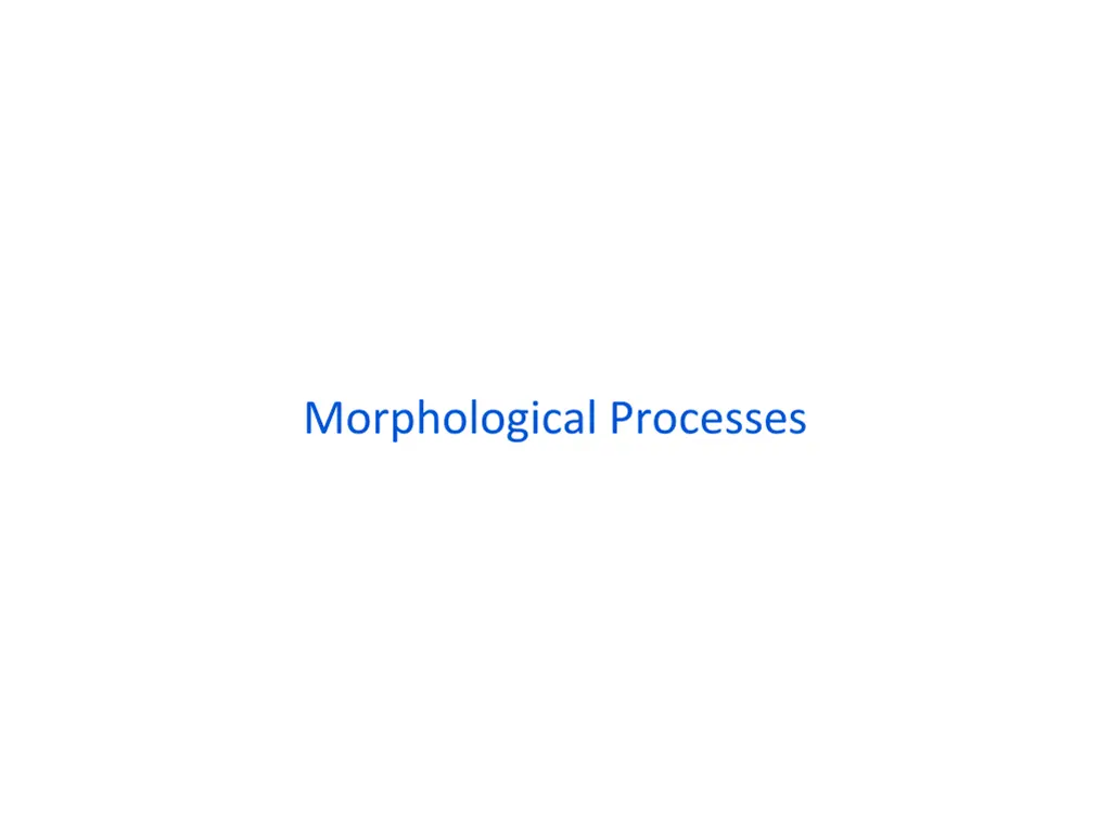 morphological processes
