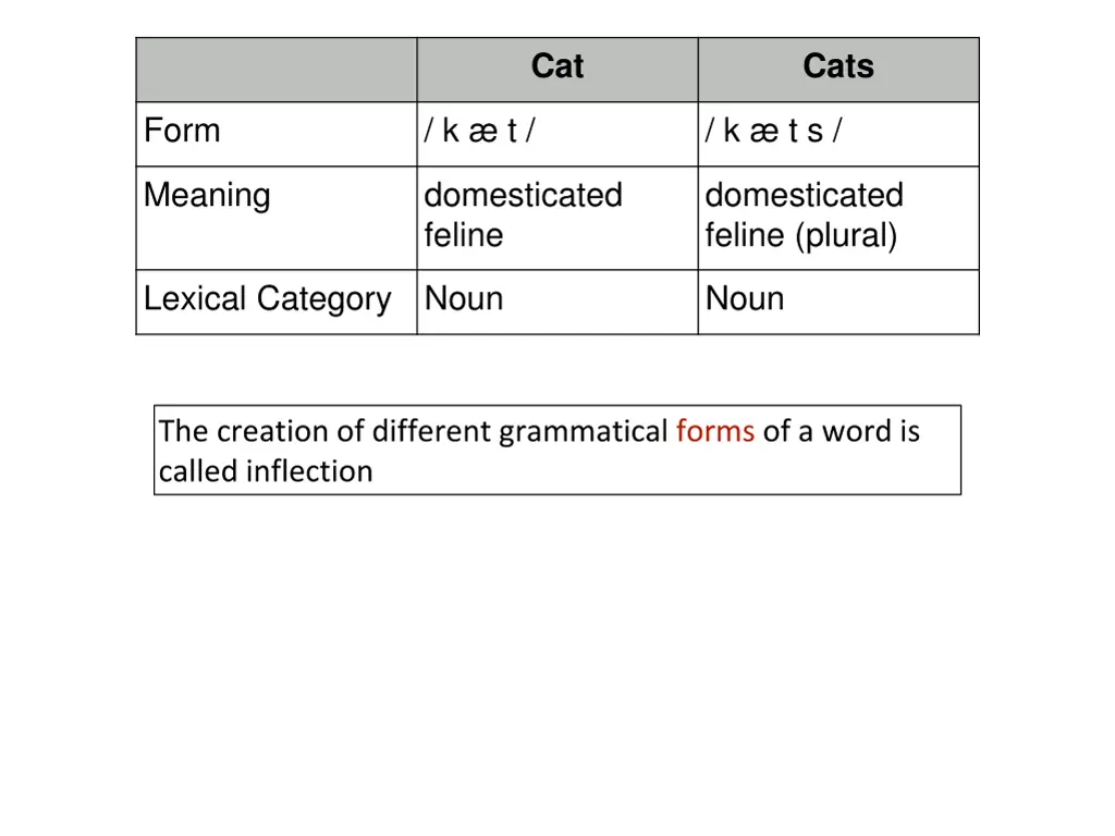 slide11