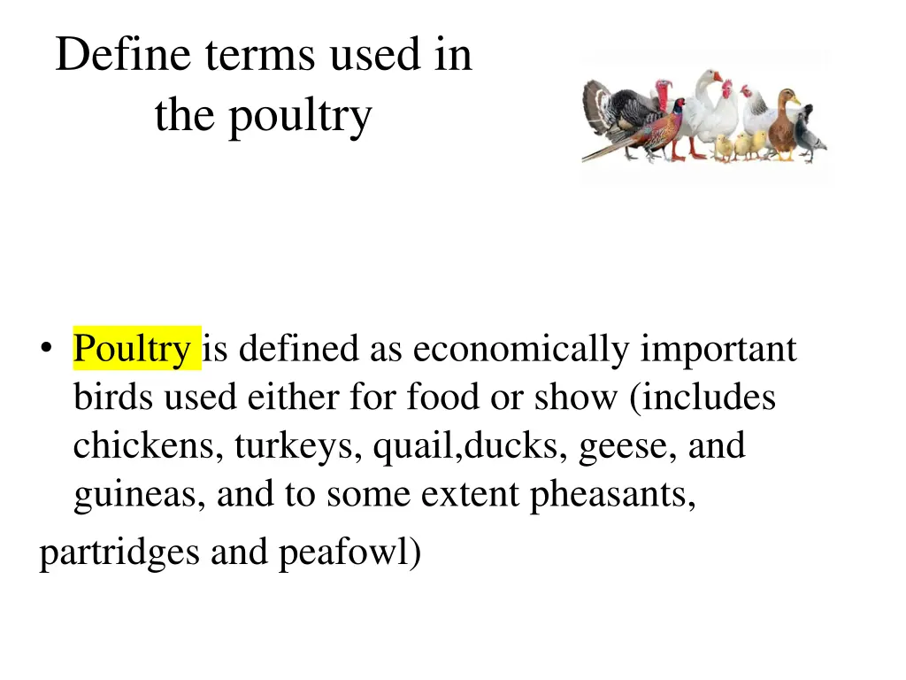 define terms used in the poultry