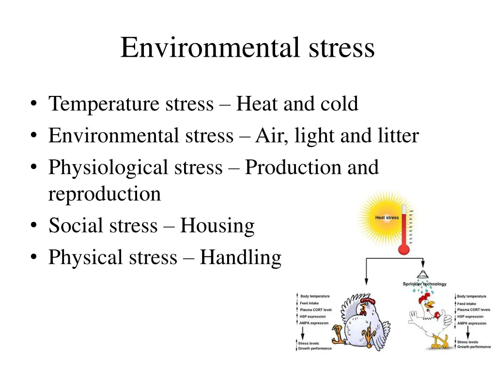 environmental stress