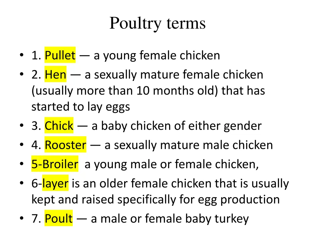 poultry terms