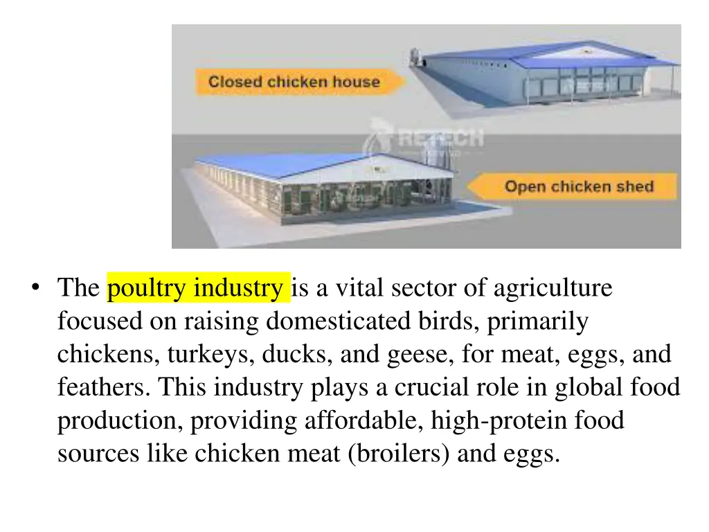 the poultry industry is a vital sector