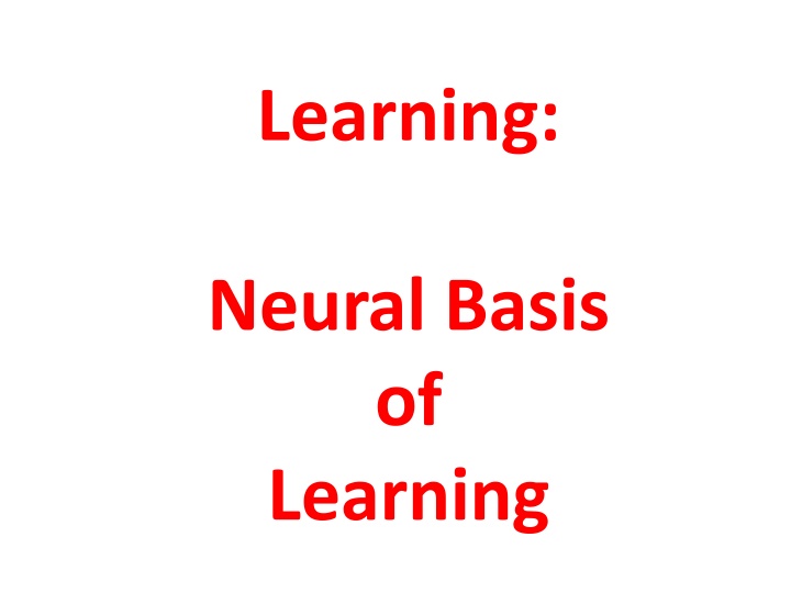 learning