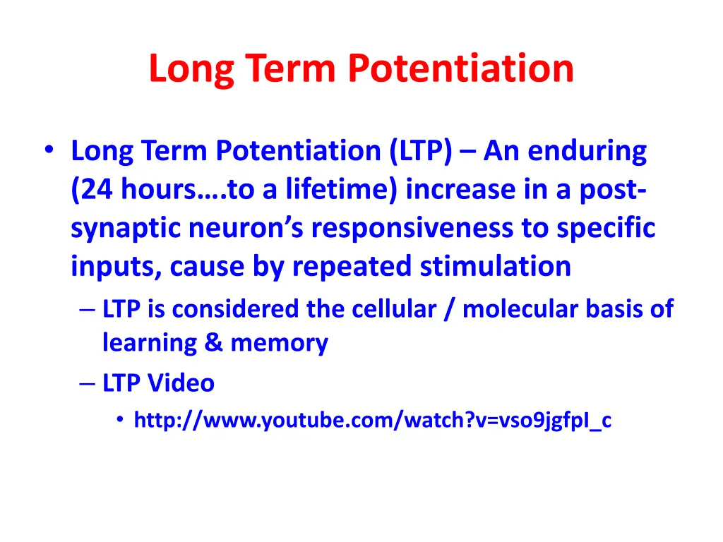 long term potentiation