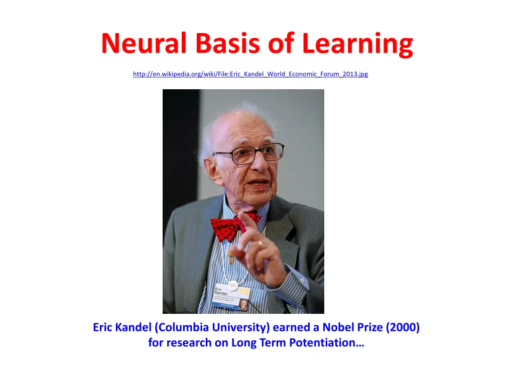 neural basis of learning