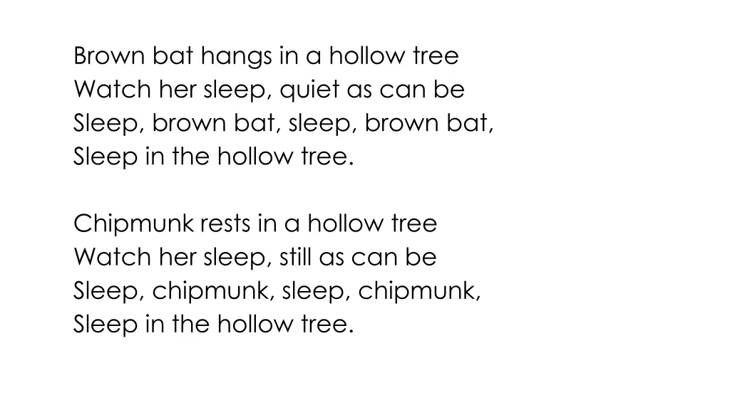 brown bat hangs in a hollow tree watch her sleep