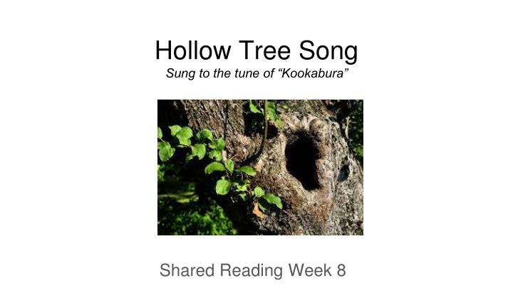 hollow tree song sung to the tune of kookabura