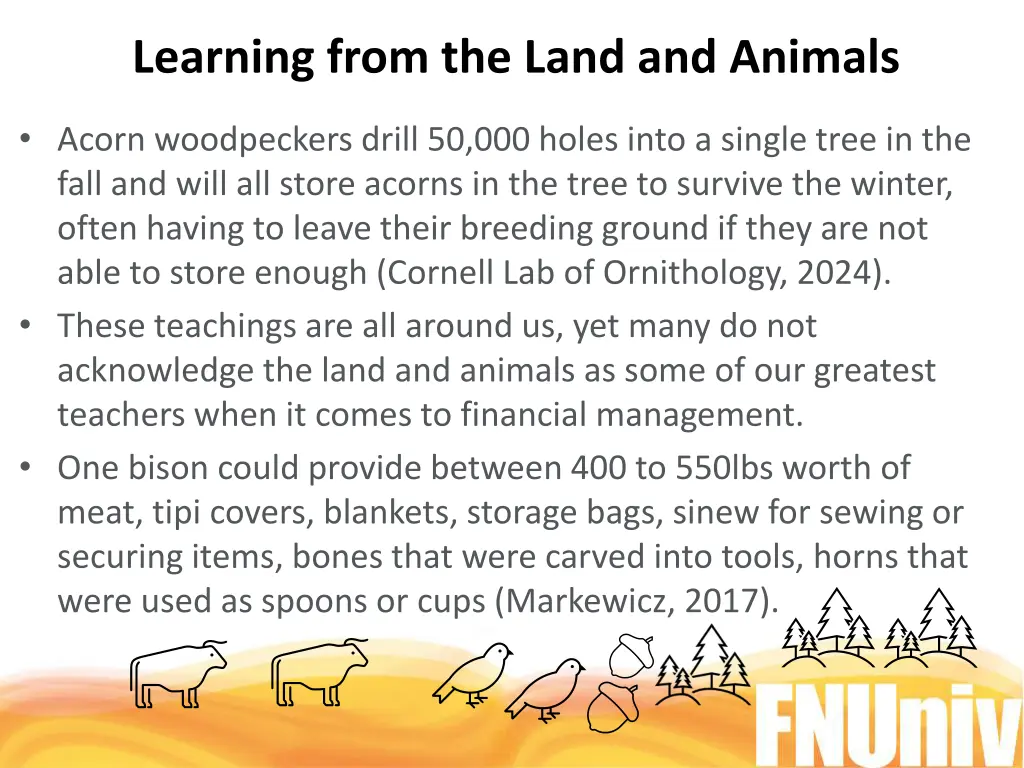 learning from the land and animals