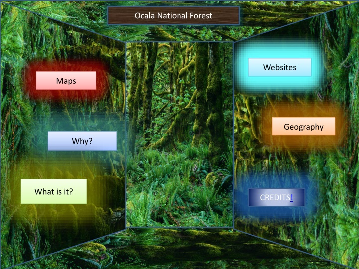 ocala national forest