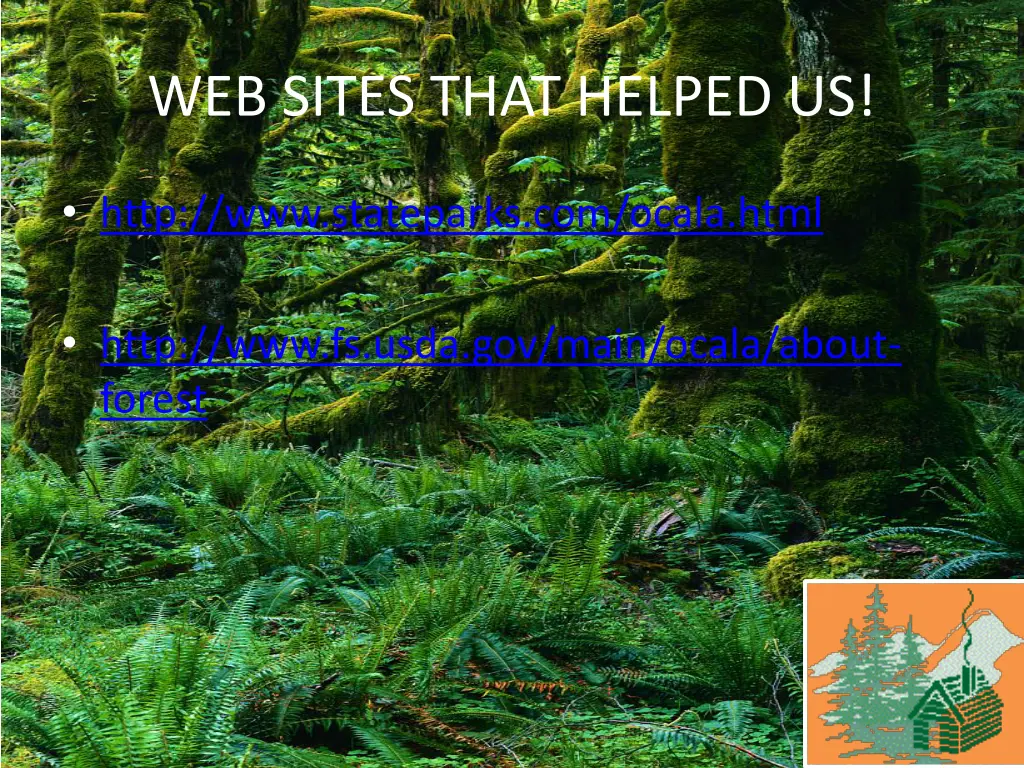 web sites that helped us