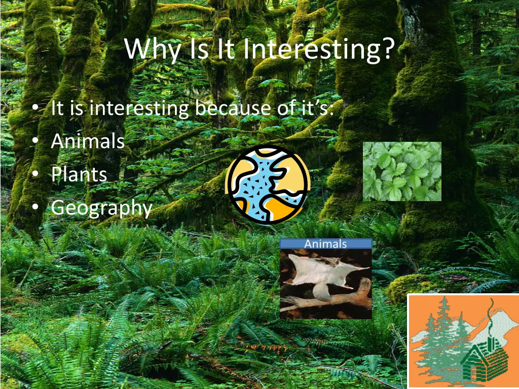 why is it interesting