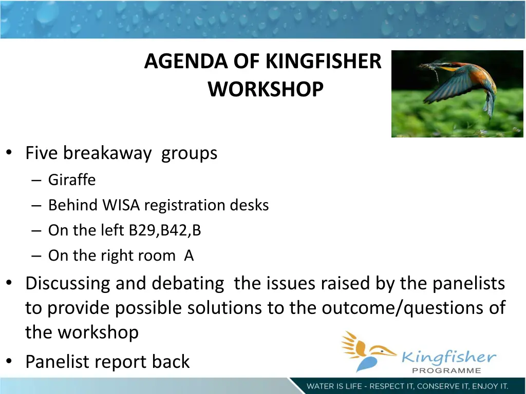 agenda of kingfisher workshop 1