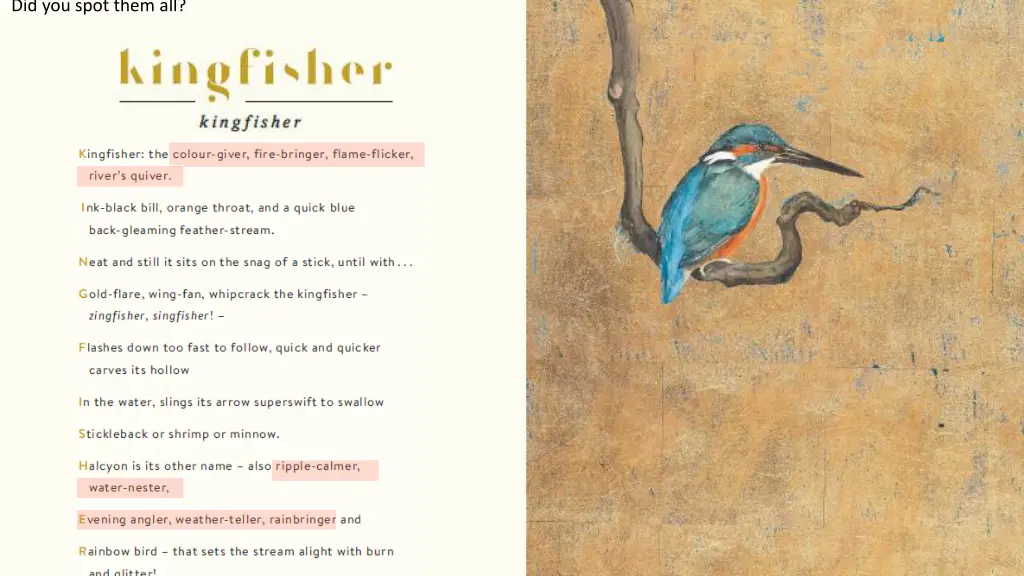 did you spot them all