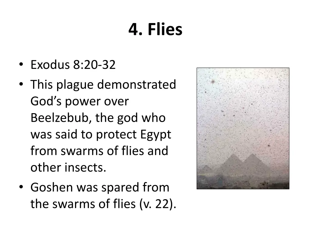 4 flies