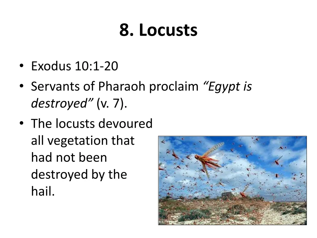 8 locusts