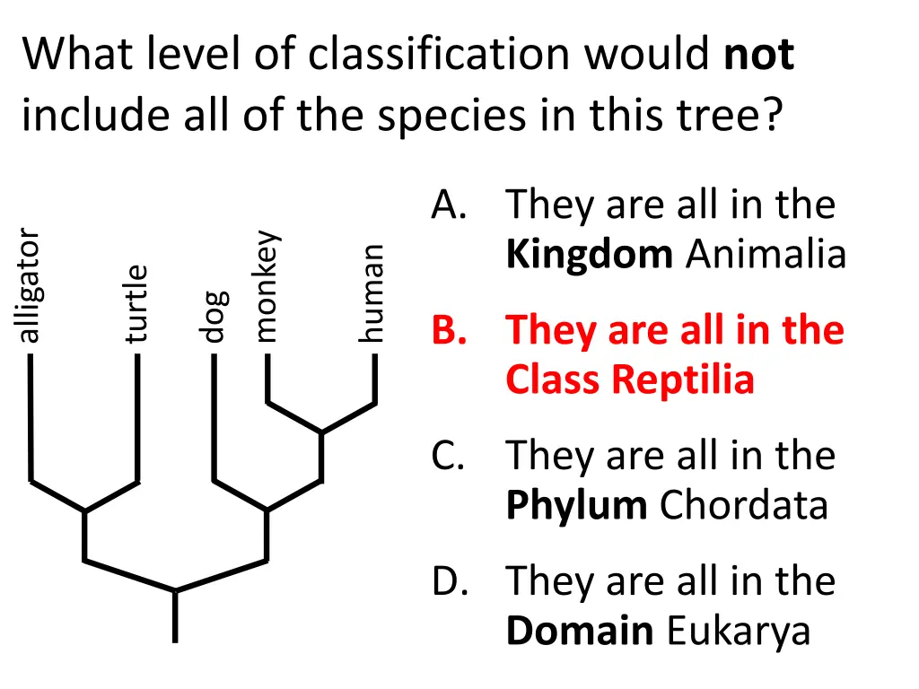 what level of classification would not include