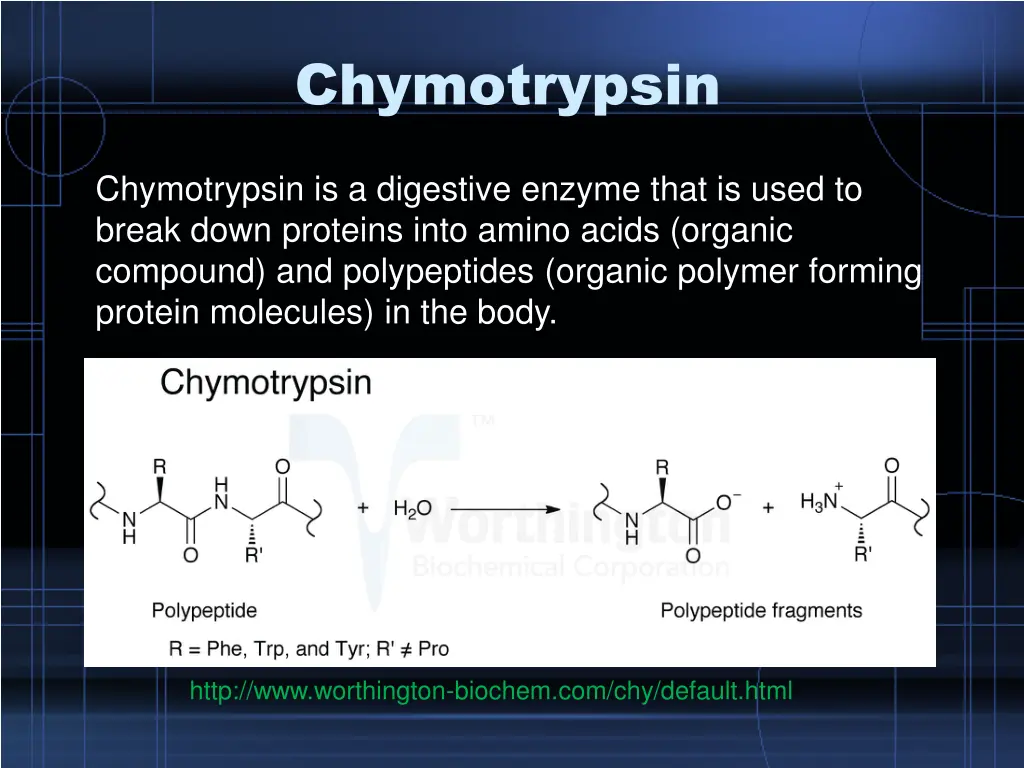 chymotrypsin