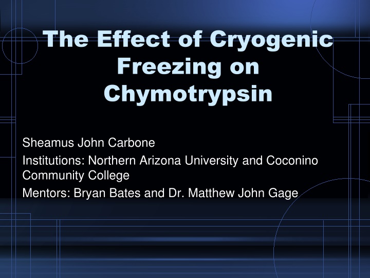 the effect of cryogenic freezing on chymotrypsin