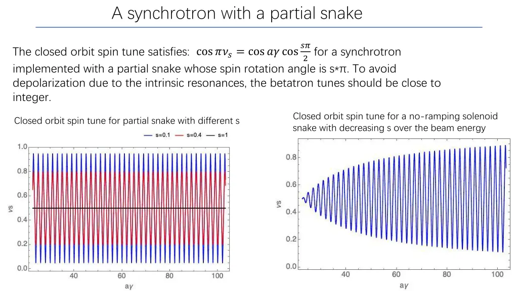 a synchrotron with a partial snake