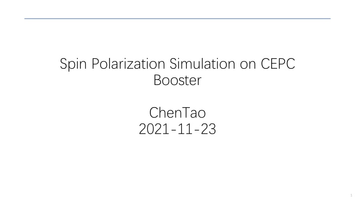 spin polarization simulation on cepc booster