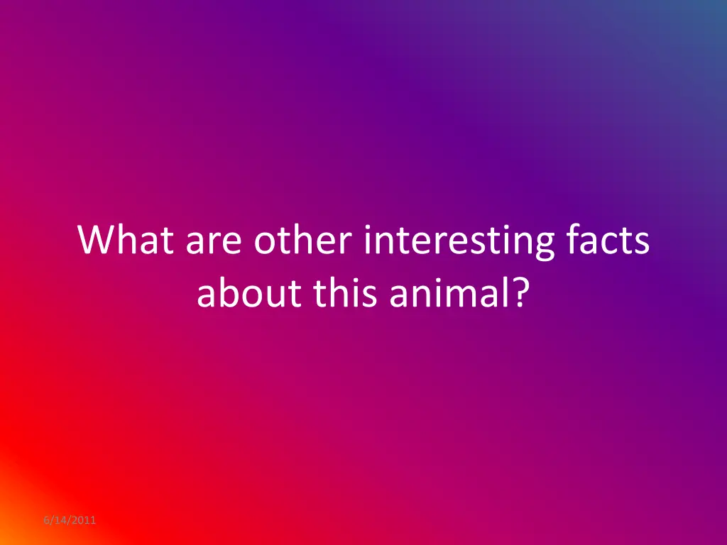 what are other interesting facts about this animal