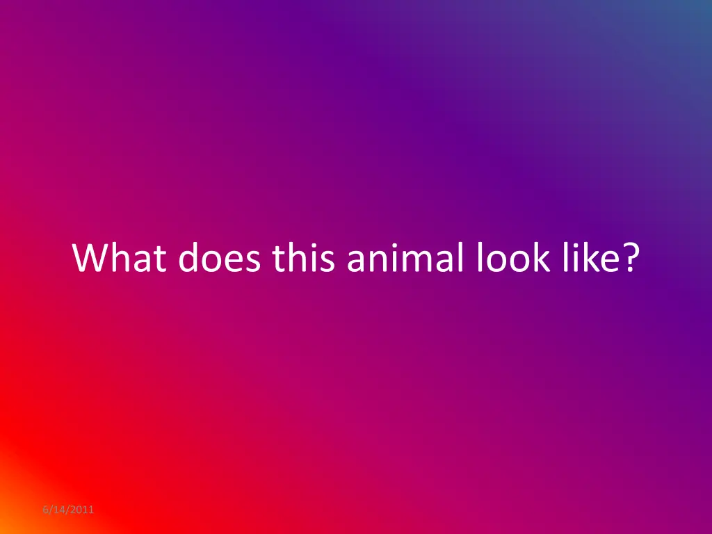 what does this animal look like
