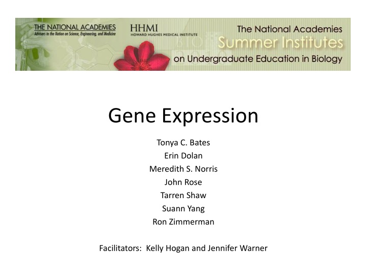 gene expression